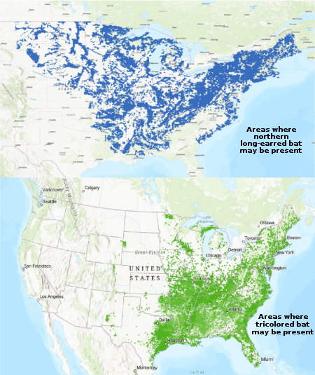 Areas now subject to regulation if you intend to cut down any trees