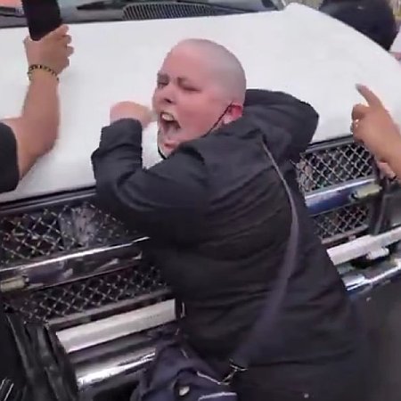 A modern Democrat protester