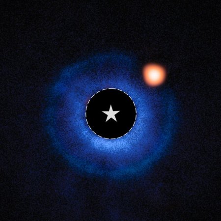 Webb's image of exoplanet