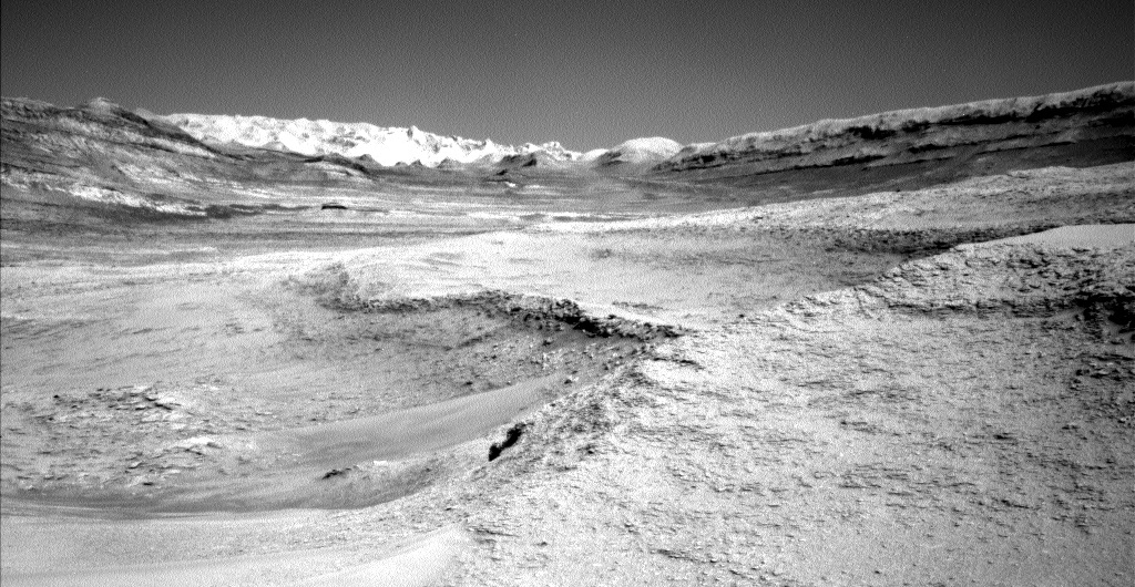 Curiosity amid the boxwork, looking uphill