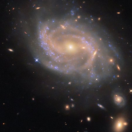 A galaxy surrounded by galaxies