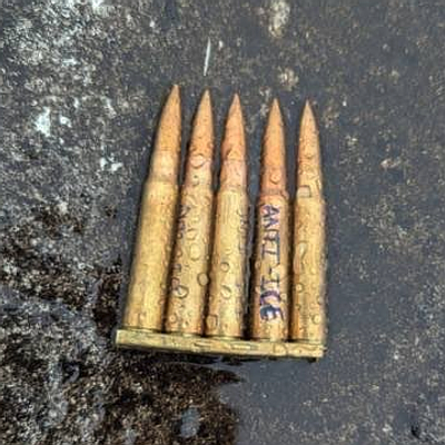The recovered rounds from today's leftist sniper