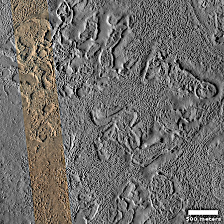 Peeling brain terrain on Mars