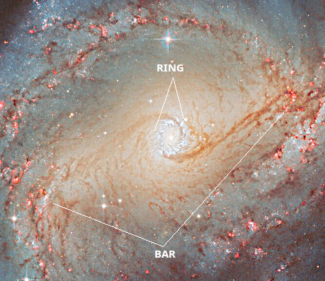 A galaxy with a starburst ring