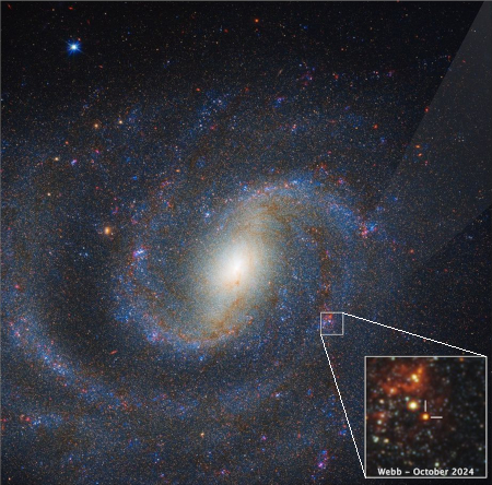 Webb detection of a supernova progenitor