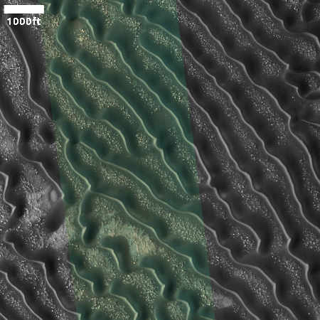 A Martian wormlike dune field on the floor of a triple crater