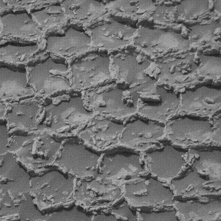 Tiny polygon ridges on Mars