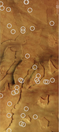 Dozens of active dust devils in one image